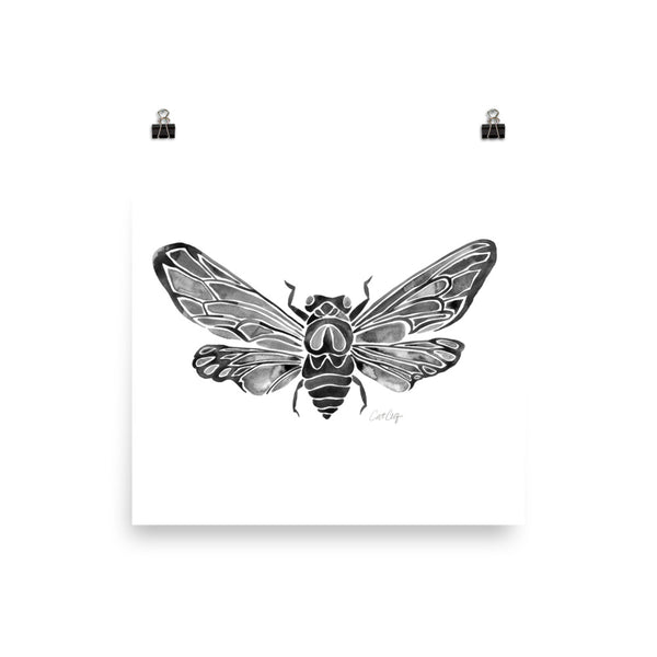 Summer Cicada – Black Palette • Art Print