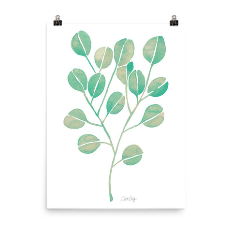 Eucalyptus - Mint