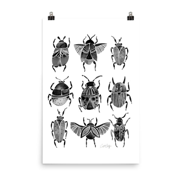 Beetle Collection - Black
