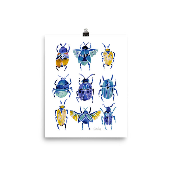 Beetle Collection - Blue Yellow