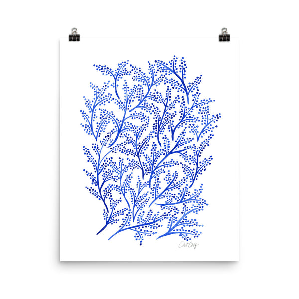 Branches - Navy