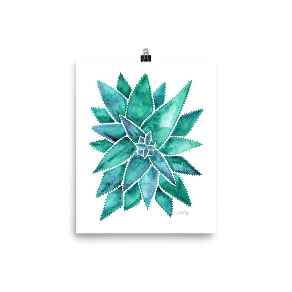 Aloe Vera - Turquoise