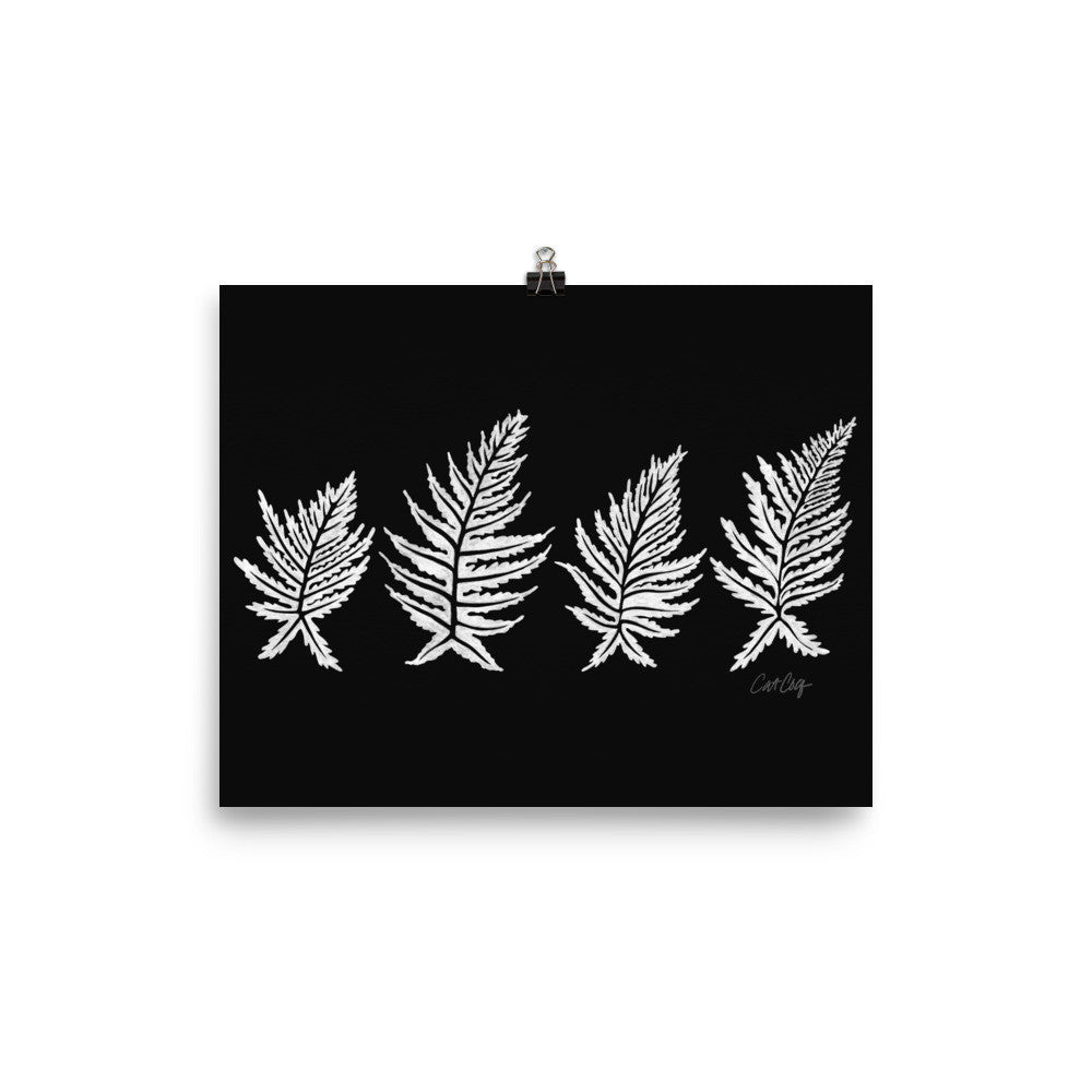 Inked Ferns – White Ink on Black • Art Print